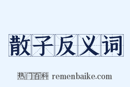 散子反义词是什么意思的图片